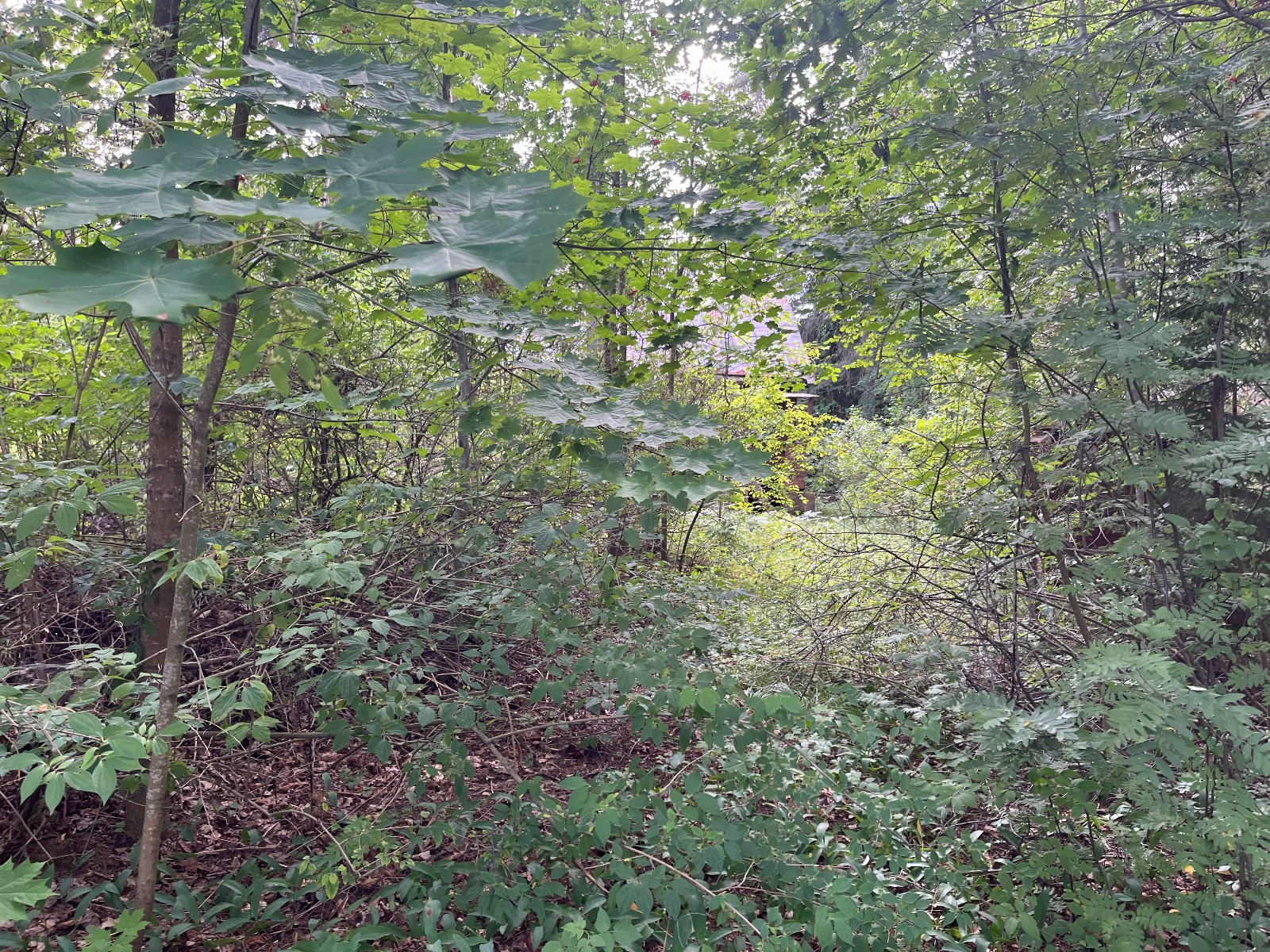 Продажа участка, Орехово, ул.Дачная,  114