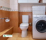 #LeoPhotoSPB-января 27, 2026-3----25